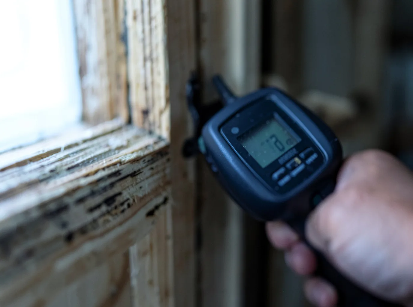 Moisture Inspection And Documentation in Saulsbury, TN